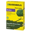 Barenbrug Shadow & sun seme trave za hlad 1 kg