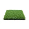 agn-vestacka-trava-evergreen-40