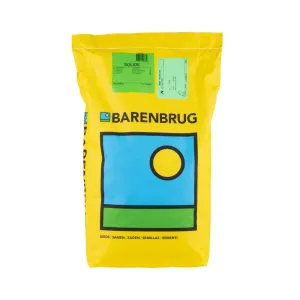 Barenbrug Solide – seme trave za gust i izdržljiv travnjak 5kg