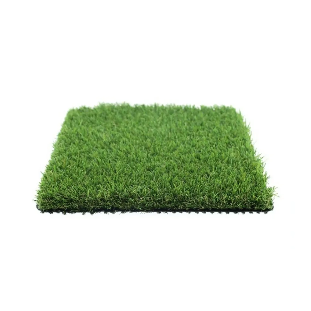 agn-vestacka-trava-evergreen-40
